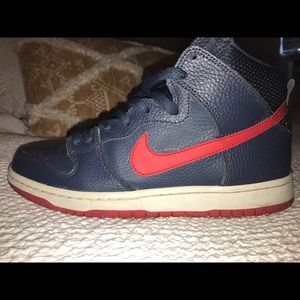 Nike Dunk High Pro SB